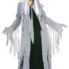 Womens Spirit Ghost Costume