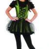Teens Wizard Of Oz Wicked Witch Of The West Costume