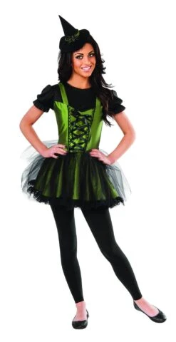 Teens Wizard Of Oz Wicked Witch Of The West Costume