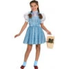 Girls Wizard Of Oz Dorothy Costume