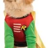 Pets Batman Universe Robin Costume